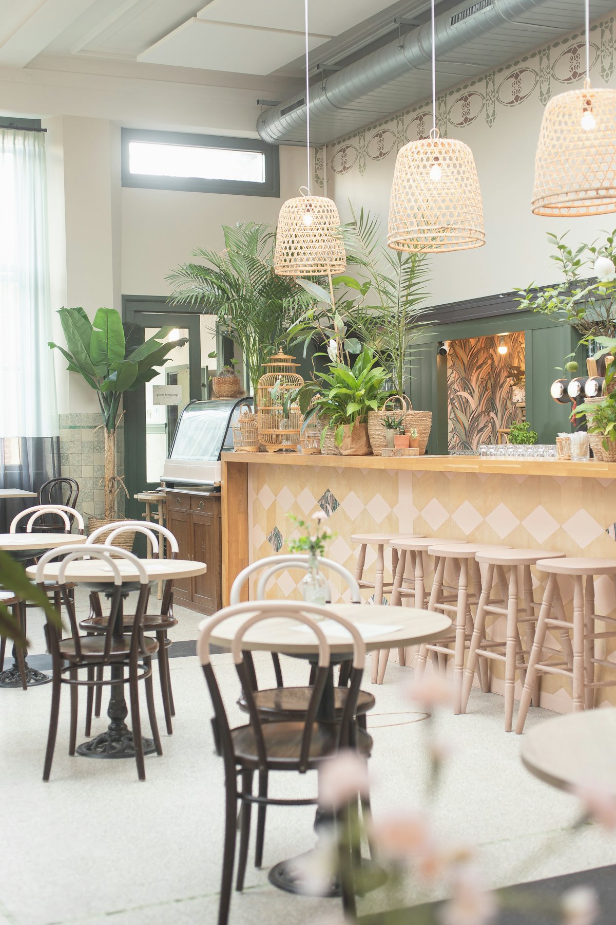 The café counter with plants